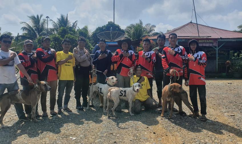 Perburuan Hama Babi Massal di  Bengkulu Selatan Dimulai