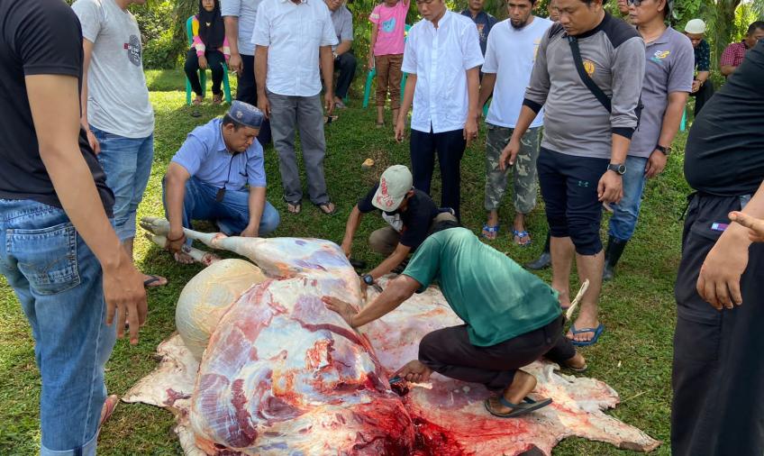 Momen Iduladha 1444 H, Polres Mukomuko Laksanakan Pemotongan dan Pendistribusian Daging Hewan Kurban Presisi
