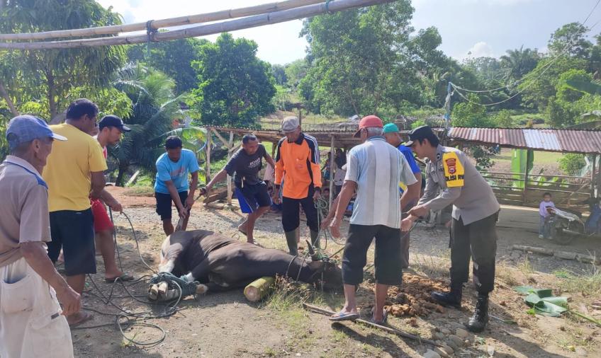 Polisi RW Polsek Giri Mulya Bantu Warga Potong Hewan Kurban 