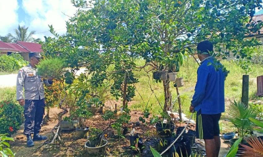 Dukung Ketahanan Pangan, Bhabinkamtibmas Sambangi Kebun Warga 