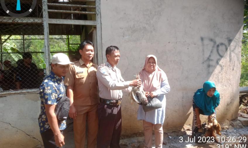 Kanit Binmas dan Bhabinkamtibmas Polsek Lebong Utara Hadiri Pembagian Ayam Program Ketahanan Pangan