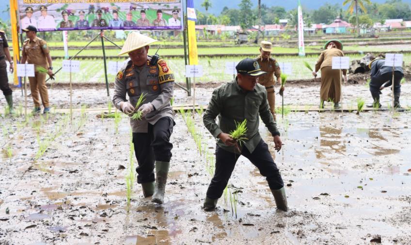 Dukung Ketahanan Pangan, Kapolres Lebong Hadiri Launching Turun Tanam MT2