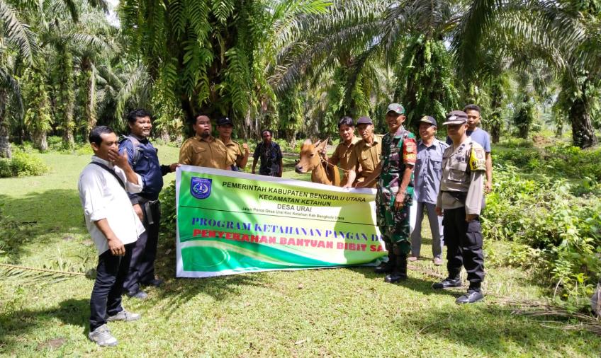 Pak Bhabin Hadiri Penyerahan Sapi  Kelompok Tani Secara Simbolis