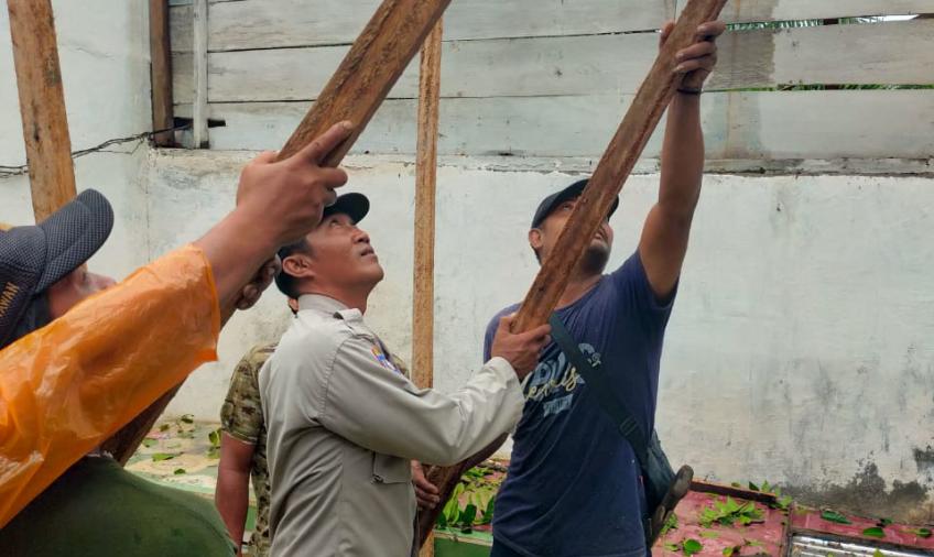 Bhabinkamtibmas Polsek Ketahun Bantu Perbaiki Rumah Warga yang Rusak Tertimpa Pohon