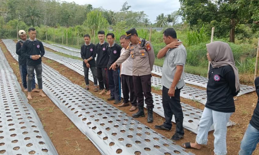Serap Informasi dari Masyarkat, Kapolsek Padang Jaya Blusukan ke Petani Bawang Merah 
