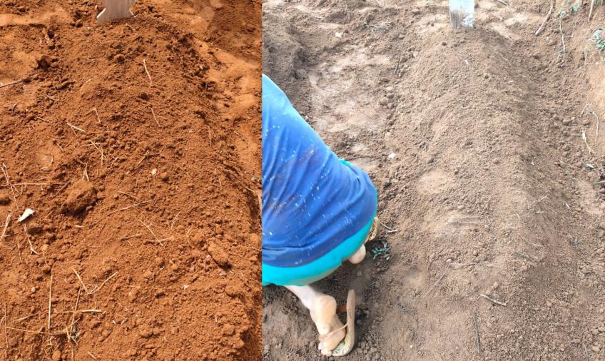 Ditemukan 2 Jenazah Diduga Korban Covid-19 di Lokasi Konstruksi Balai Kota Merah Putih