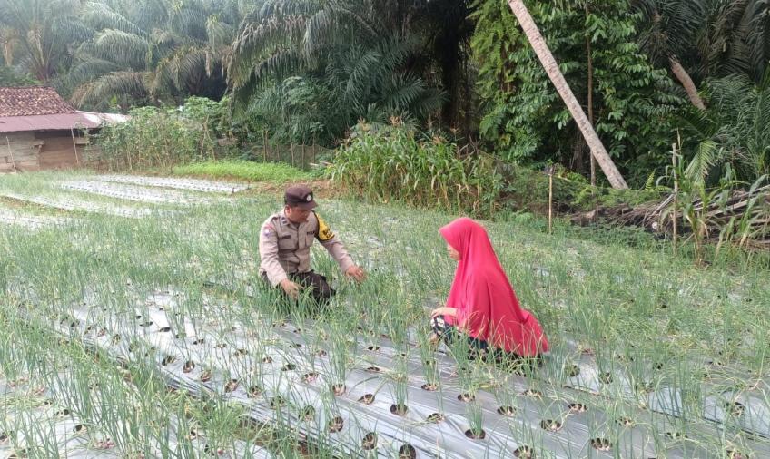 Polsek Giri Mulya 