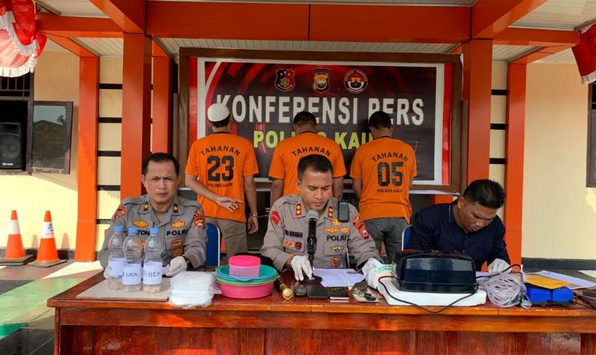 Konferensi Pers, Polres Kaur Berhasil Gagalkan Penyelundupan Benur 