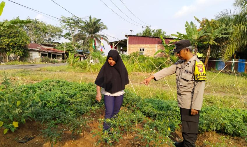 Dukung Ketahanan Pangan, Bhabinkamtibmas Sambang DDS Tanaman Sayuran di Kecamatan Ketahun 