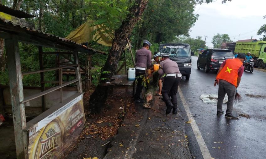 Pastikan Arus Lalin Berjalan Lancar, Polsek Taba Penanjung Evakuasi Pohon Tumbang di Desa Sukarami 