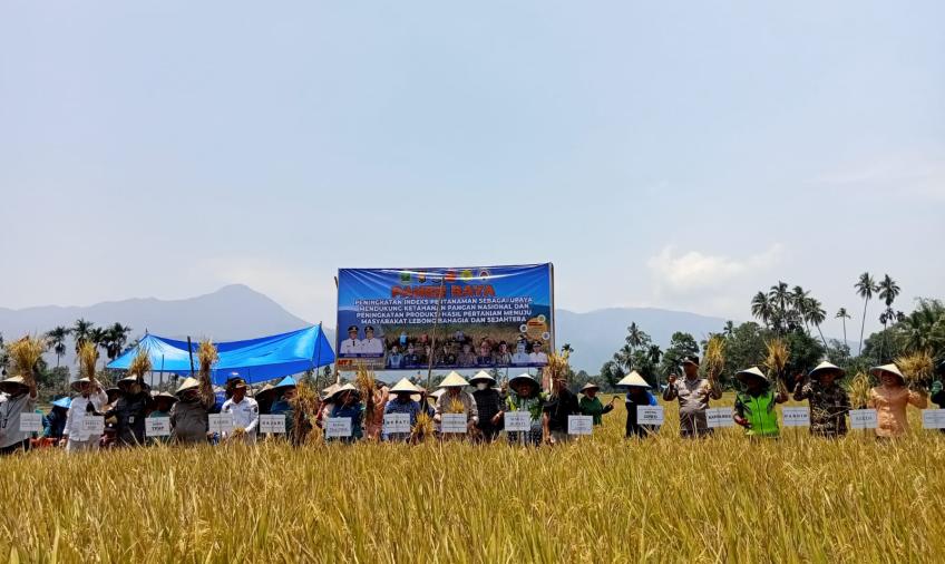 Bhabinkamtibmas Polsek Lebong Selatan Hadiri Panen Perdana MT2 di Desa Talang Leak I