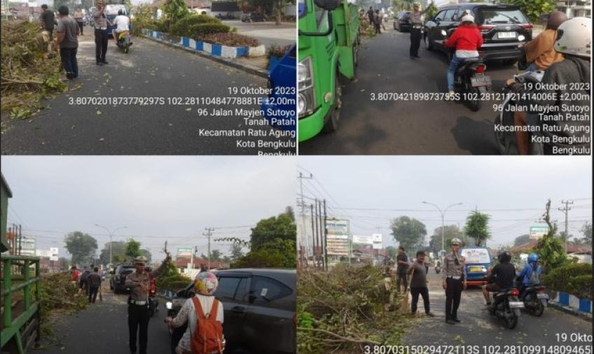 Personel Satlantas Evakuasi Pohon Tumbang di Depan Polsek Ratu Agung
