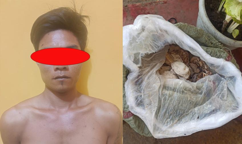 Curi Getah Karet, Warga Lebong Diamankan Polisi