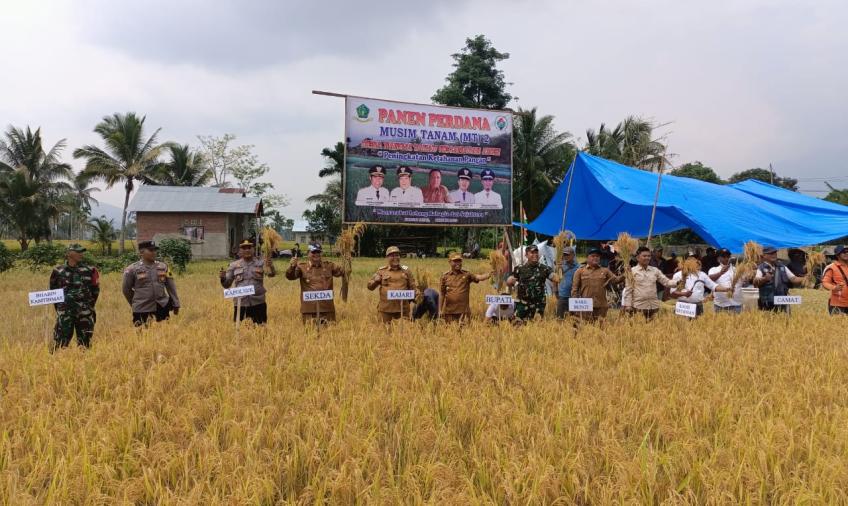 Kapolsek Lebong Utara Hadiri Panen Raya MT2 di Desa Nangai Tayau