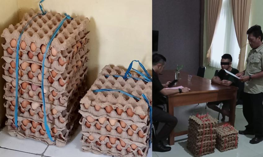 Kasus Pencurian Telur Berlanjut ke JPU