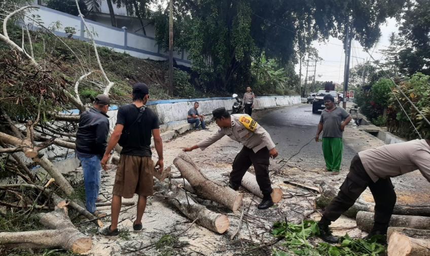 Personel Polsek Teluk Segara Evakuasi Pohon Tumbang 