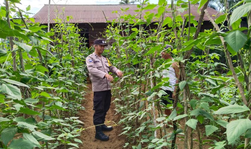 Bhabinkamtibmas Polsek Ketahun Sambang Warga Tanaman Pangan Lestari di Desa Giri Kencana 