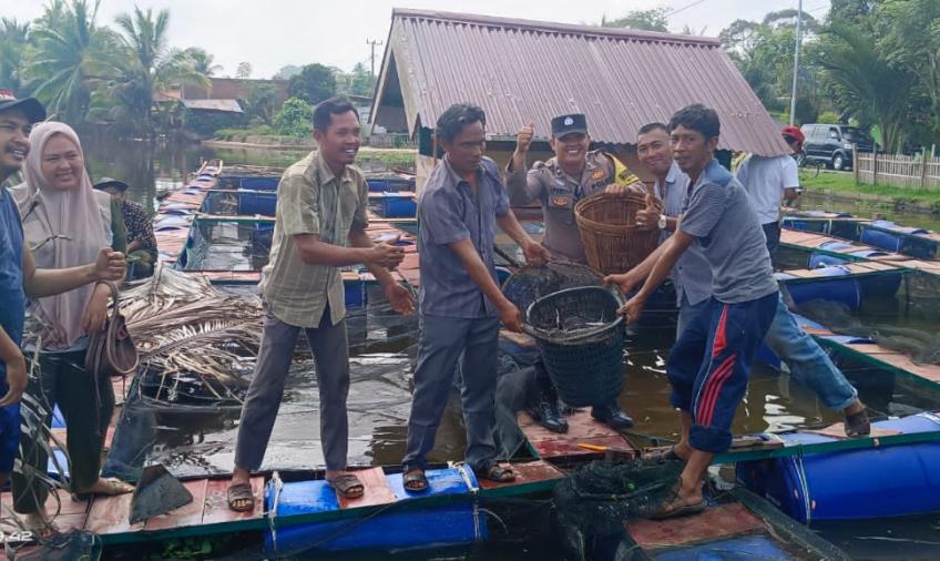 Bhabinkamtibmas Polsek Kota Manna Hadiri Giat Panen Ternak Ikan dalam Kerambah Apung di Desa Binaan