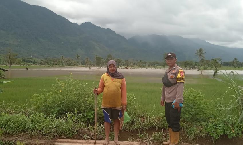 Personel Polsek Lebong Utara Monitoring Bencana Banjir di Area Persawahan Warga Desa Tunggang