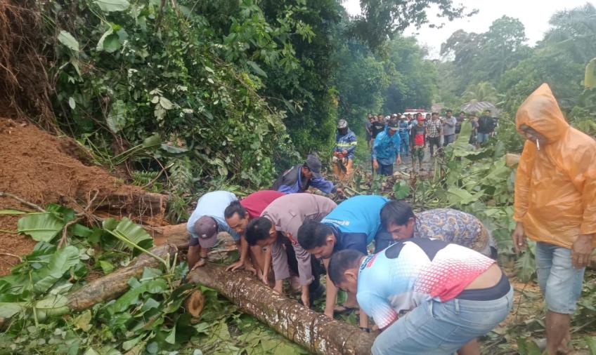 Pohon tumbang, Personel Polsek Talo Bantu Evakuasi dan Atur Lalin 