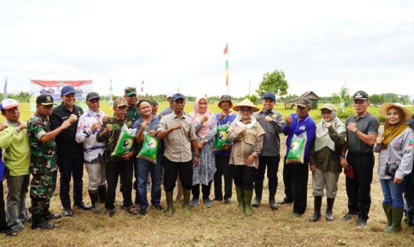 Pemkot Bengkulu Dorong Ketahanan Pangan Lewat Panen Raya Padi Sawah