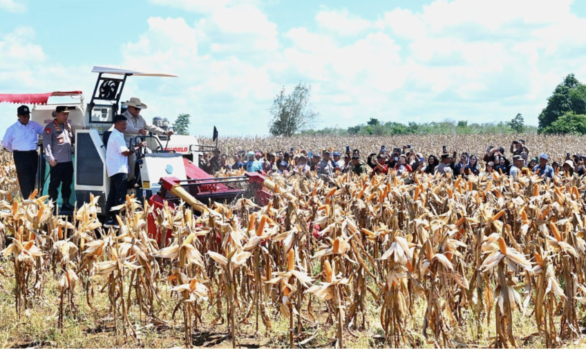 Presiden Prabowo Subianto melakukan Panen Raya Jagung Serentak Kuartal II di 36 Polda se-Indonesia yang dipusatkan di Kabupaten Bengkayang, Kalimantan Barat.