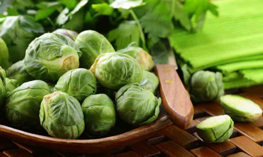 Kubis Brussel