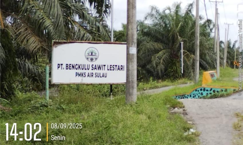 PT Bengkulu Sawit Lestari. 